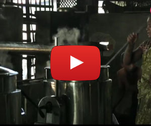 Solar Steam Cooking Transforms Community Cooking